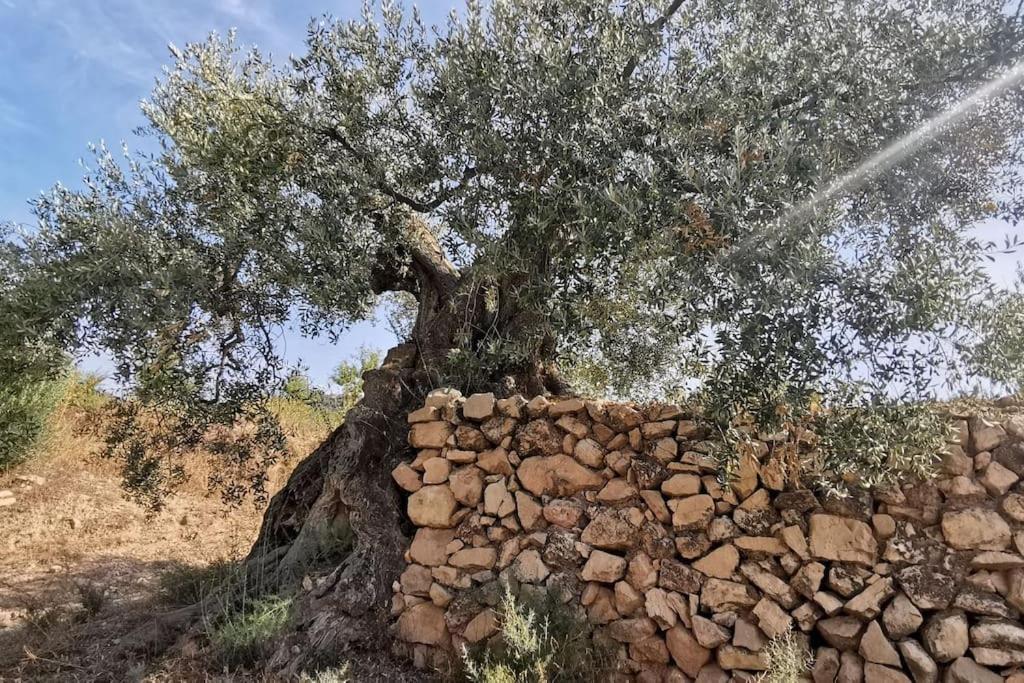 Vila Casa Bretalunya Benissanet Exteriér fotografie
